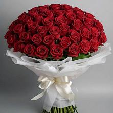 Букет 101 Красная роза Блэк Мэджик в Кузнецово