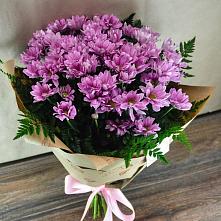 Букет цветов из:  Хризантемы #REPLACE_PRED# Кузнецово