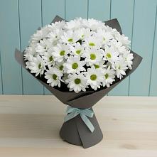 Букет цветов из:  Хризантемы #REPLACE_PRED# Кузнецово