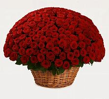 Премиум букет из: Розы в Кузнецово